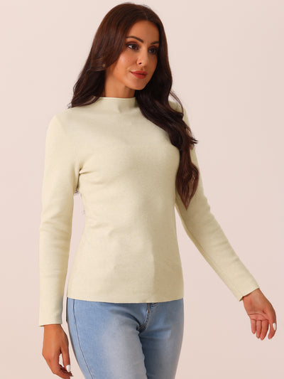 Womens' Fall Winter Round Neck Long Sleeve Casual Slim Fit Sweater Top