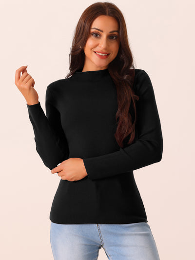 Womens' Fall Winter Round Neck Long Sleeve Casual Slim Fit Sweater Top