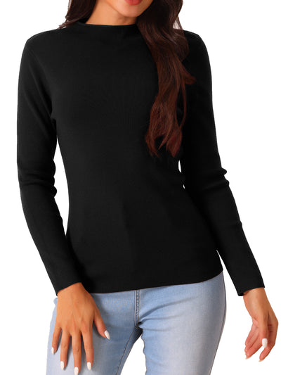 Womens' Fall Winter Round Neck Long Sleeve Casual Slim Fit Sweater Top