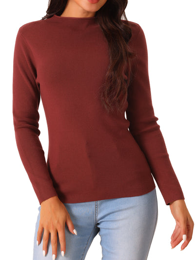 Womens' Fall Winter Round Neck Long Sleeve Casual Slim Fit Sweater Top